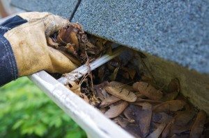 Tips on How to Take Care of Your Minnesota Roof